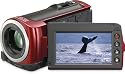 Sony HDR-CX100 ACVHDHD Camcorder w/Smile Shutter & 10x Optical Zoom (Red)