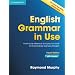 English Grammar in Use with Answers: A Self-Study Reference and Practice Book for Intermediate Students of English