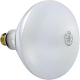 Replacement Pool Light Bulb - 500W/120V
