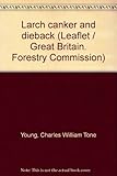 Larch canker and dieback