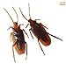 12pcs Fake Plastic Roach Cockroach Joke Toys Prank Scary for Party