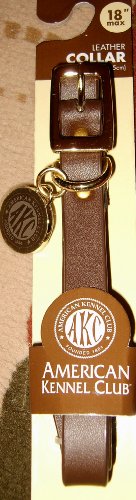 AKC Medium (18″ max) Leather Dog Collar with Engravable Charm