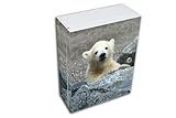 Arzneischrank Badschrank Stahl weiß Eisbär Teddy Küche Medizinschrank banjado