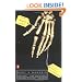 The Bone Lady: Life as a Forensic Anthropologist