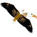 3D Eagle