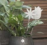 Review The Urban Garden  / 5 tulip shaped steel bulb markers - 33cm H