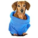 All Star Marketing SN151116 Blue Snuggie For Dogs Small