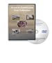 Historic Earthquake Films - Detailing the 1971 Sen Frendando Valley Earthquakes and Details About How Earthquakes Work and How We Can Build to Prevent Damage From California Earthquakes