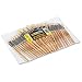 Chenille Kraft Preschool Paint Brush Assortment