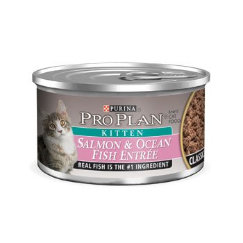 Pro Plan Total Care Kitten Salmon And Oceanfish Canned Kitten Food Picture