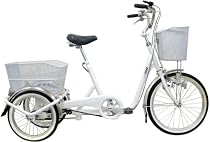 ミムゴ 20インチ三輪自転車 ノーパンクタイヤ仕様 スイングチャーリー(ホワイト) MG-TRF20SWN-WH
