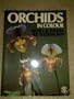 Orchids in Colour