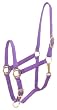 Nylon Halter, Horse Purple