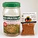 One Quart Glass Sprouting Jar w/ Sprouting Strainer Lid - Use to Grow Sprouts in Your Own Kitchen Year Round. Spruce up Your Salads & Meals with Delicious & Nutritious Sprouts: Includes 2 Oz. Certified Organic Alfalfa Sprout Seed - Sprouting Instructions on Back Label