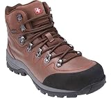 Wenger Alpina Men's Hiking Boot