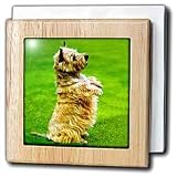 Cairn Terrier - 6 Inch Tile Napkin Holder
