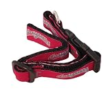 NCAA Washington State Cougars Dog Collar (Team Color, Large)