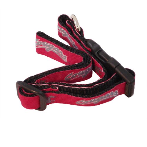 NCAA Washington State Cougars Dog Collar (Team Color, Medium)