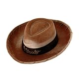 Disney Toy Story Woody Child Hat
