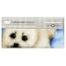 Endangered Species Harp Seal Bar, White Chocolate, 3-Ounce Bars (Pack of 12)