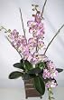 36" Triple Silk Phaleonopsis Orchid in Decorative Container