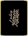 Ed Hardy iPad Designer Case - Bikini (Golden)