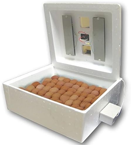 Analog auto incubator Laying hen 104 eggs 220V