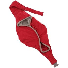 Lodger �V�F���^�[