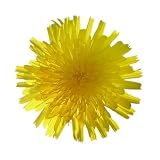 If You Can't Beat 'Em, Eat 'Em: The Dandelion Cookbook