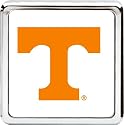 Bully Die Cast College Logo Rear Receiver Hitch Plug Cover College Logo 2" Receiver Hitch Plug - Tennessee
