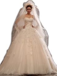 Applique Fitted Sweetheart   Ball Gown  Dress with a Court Train 