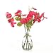 Botanical Diffusser Garden Sweet Pea