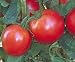 Bradley Tomato - 20 Seeds - Dark Pink Fruits