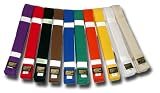 SHOGUN martial arts/karate/judo belts