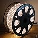 164 Feet Warm White 2 Wire LED Rope Light Decorative Christmas, Bar, Home Lighting