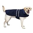 Casual Canine 24-Inch Velvet/Polyester Reflective Dog Jacket, X-Large, Navy