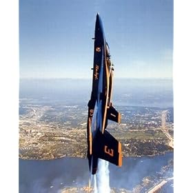 Vertical Blue Angels 16 x 20 Military Art Print Posters