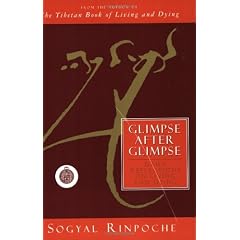 Glimpse After Glimpse
