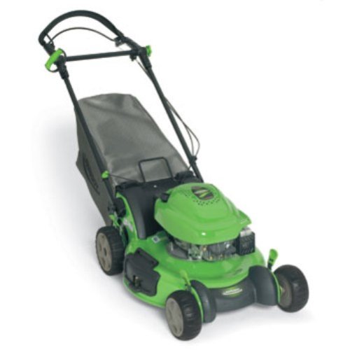 Lawn-Boy Insight Series 21-Inch 6.5 HP Tecumseh Easy Start Gas Powered Engine Variable Speed Self-Propelled Lawn Mower (Non-CARB Compliant) #10684