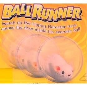 Ball Runner Toy Hamster In Exercise Ball