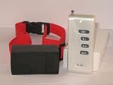 Remote Control Dog Training Collar (2 Levels of Shock & 2 Tones)