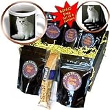 Cats White Persian Coffee Gift Baskets Coffee Gift Basket by 3dRose LLC