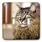 Cats - Maine Coon - Light Switch Covers - double toggle switch