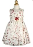 Pink Floral Organza Dress,special occasion, holiday dress