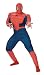 Search : Spider-Man 3 Deluxe Muscle Adult Costume
