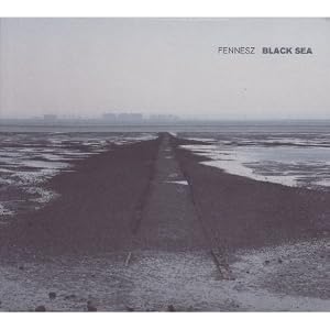 Cover of "Black Sea"