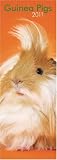 Guinea Pigs 2011 Slim