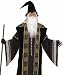 Forum Deluxe Wizard Mens Fantasy Warlock Halloween Costume XL