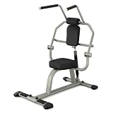 Steelflex Ab Crunch Back Machine by
