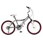 Kawasaki Girl's K20G 20-Inch Bicycle